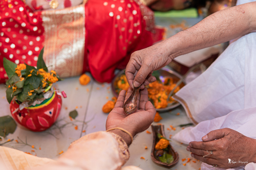 Wedding Photo 31